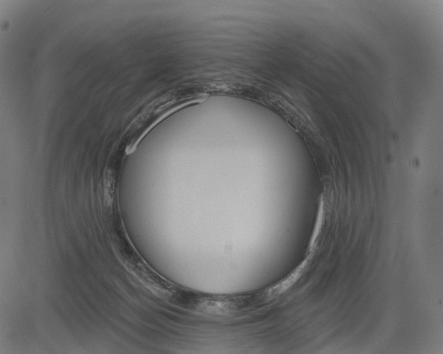 X0000082680174200702091641