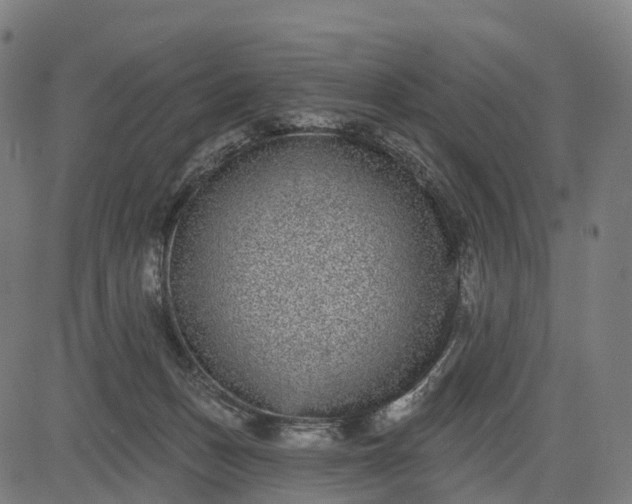 X0000082680175200702091641