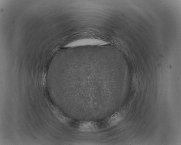 X0000082680177200702091641