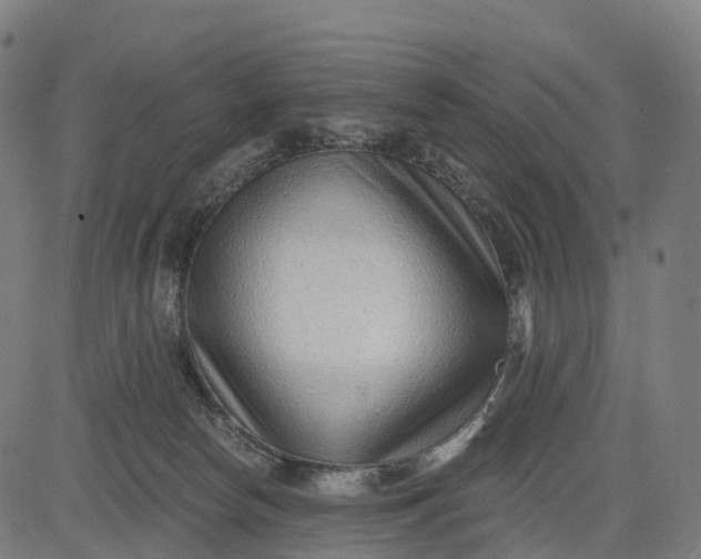 X0000082680178200702091641