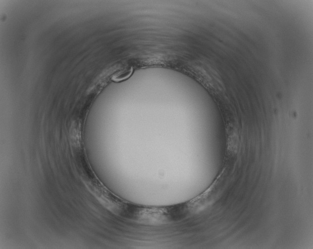 X0000082680179200702091641