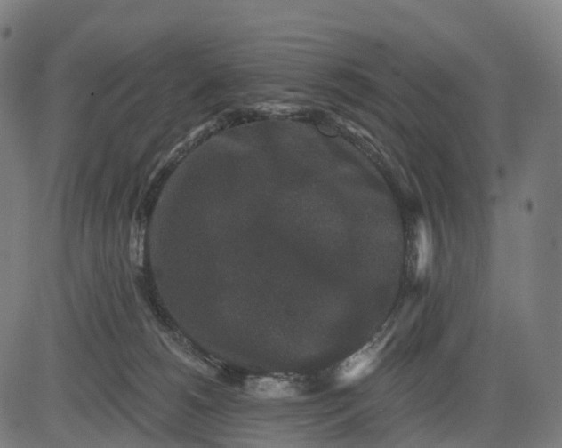 X0000082680180200702091641