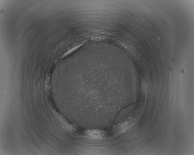 X0000082680181200702091641