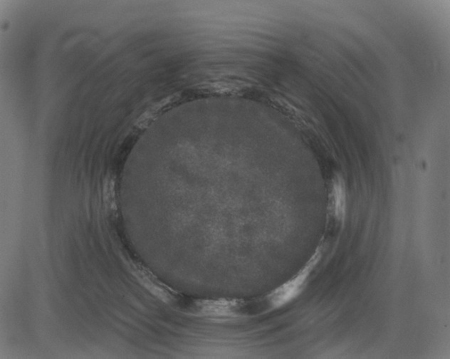 X0000082680182200702091641