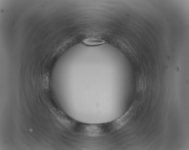 X0000082680183200702091641