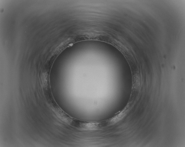 X0000082680184200702091641