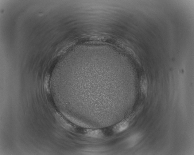 X0000082680185200702091641