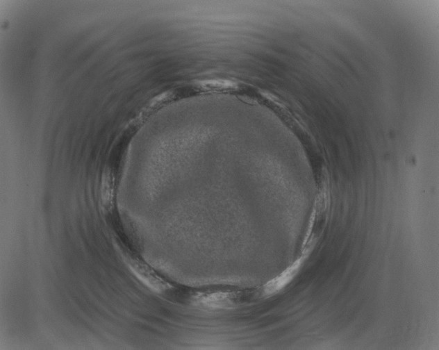 X0000082680186200702091641