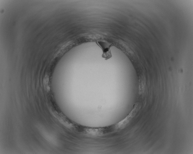 X0000082680187200702091641