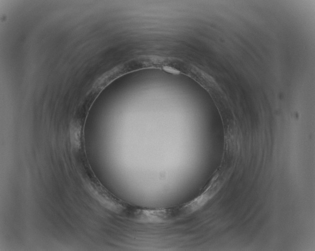 X0000082680188200702091641