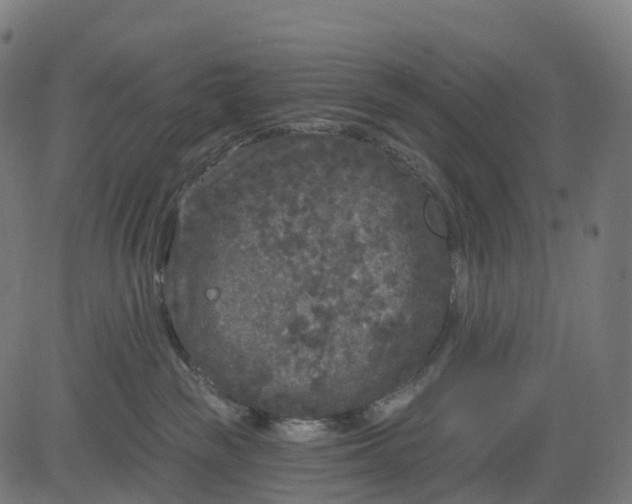 X0000082680189200702091641