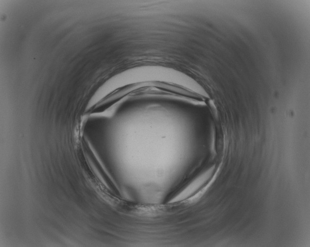 X0000082680190200702091641