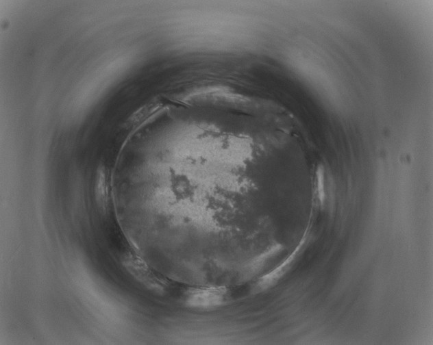 X0000082680191200702091641