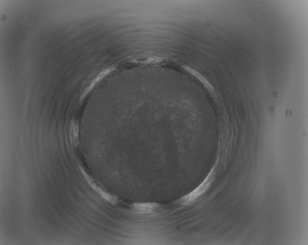 X0000082680192200702091641