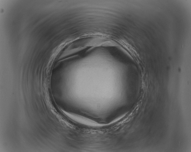 X0000082680193200702091641