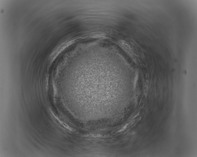 X0000082680194200702091641