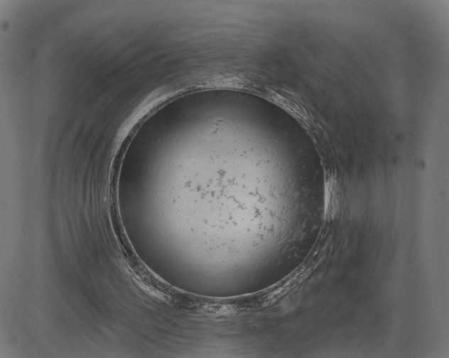 X0000082680195200702091641