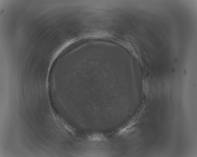 X0000082680196200702091641