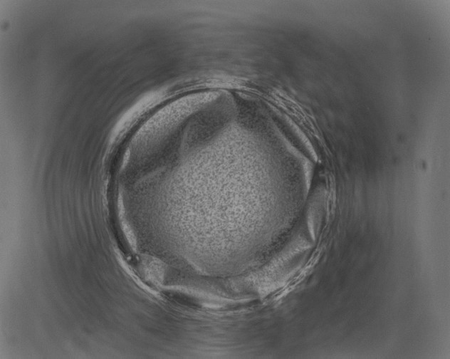 X0000082680197200702091641