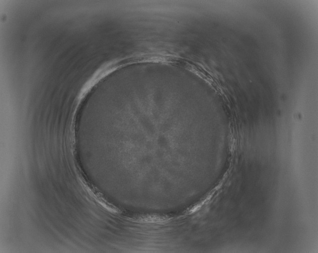 X0000082680198200702091641