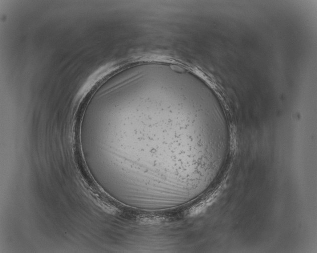 X0000082680199200702091641