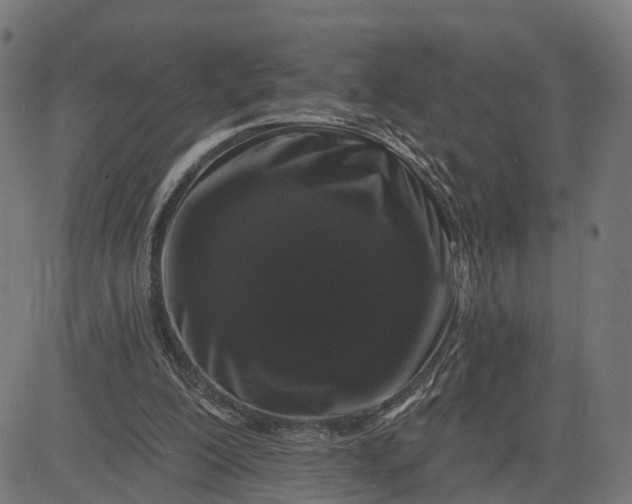 X0000082680200200702091641