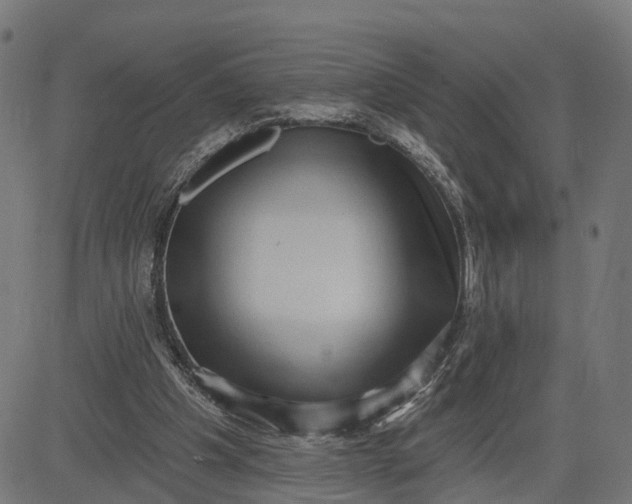 X0000082680201200702091641