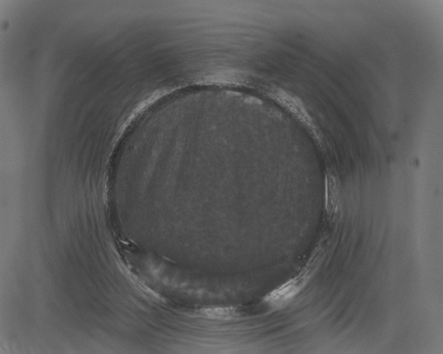 X0000082680204200702091640