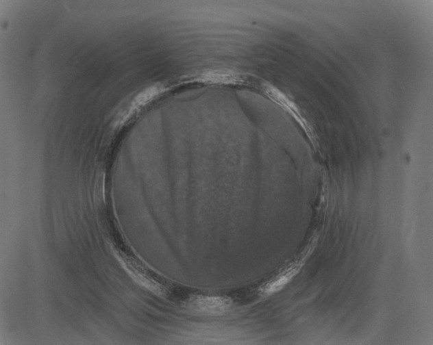 X0000082680205200702091640