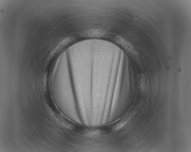 X0000082680206200702091640