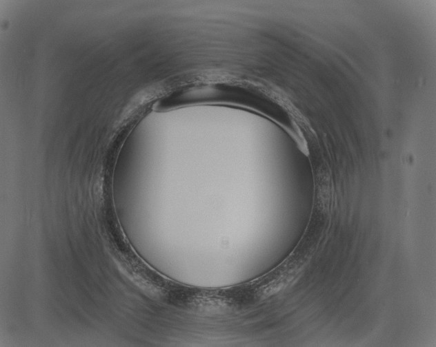 X0000082680207200702091640