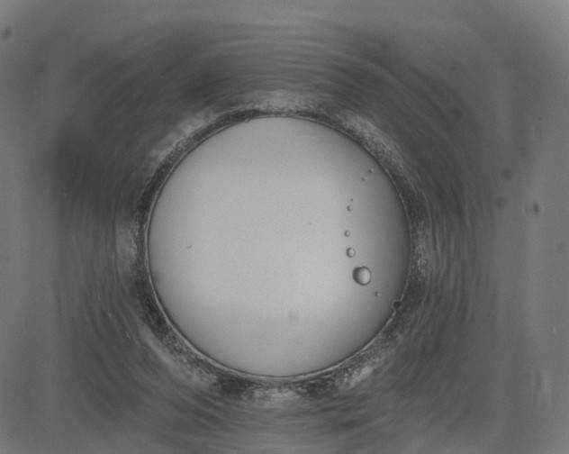 X0000082680208200702091640