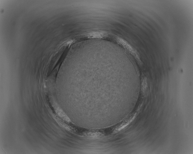 X0000082680209200702091640