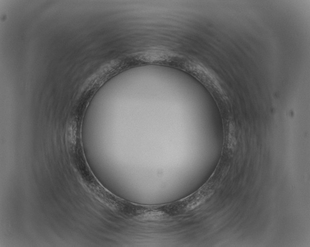 X0000082680210200702091640