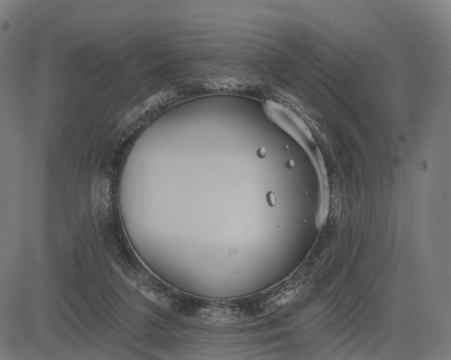 X0000082680211200702091640