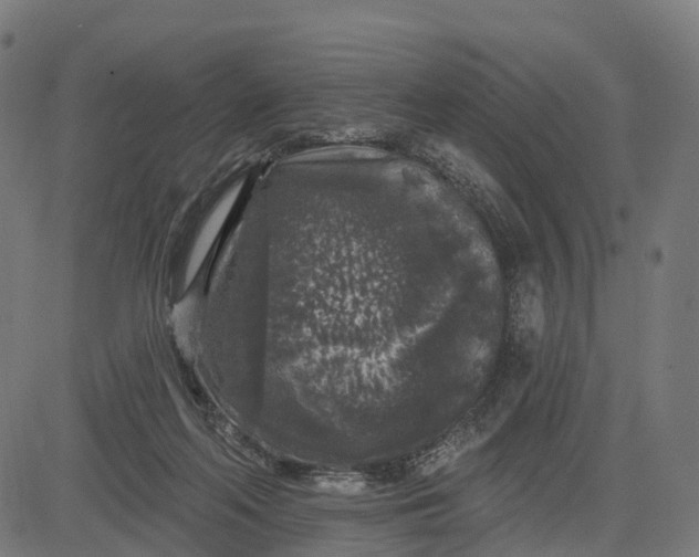 X0000082680214200702091640