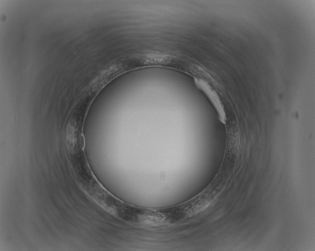 X0000082680215200702091640