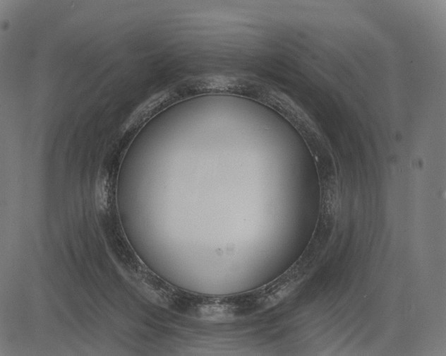 X0000082680216200702091640