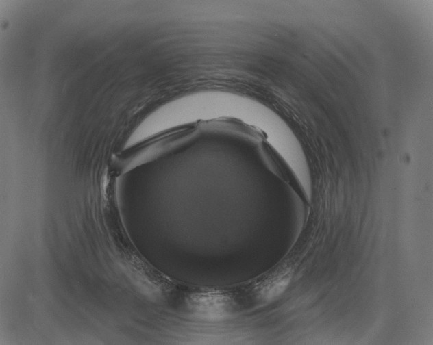 X0000082680219200702091640