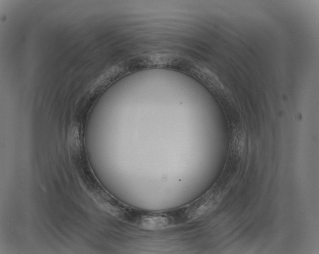 X0000082680220200702091640