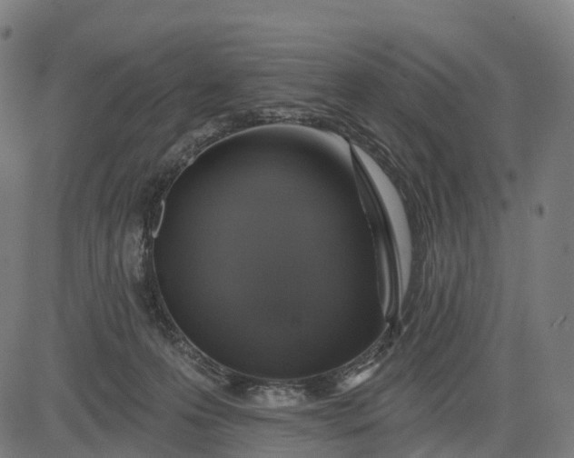 X0000082680223200702091640