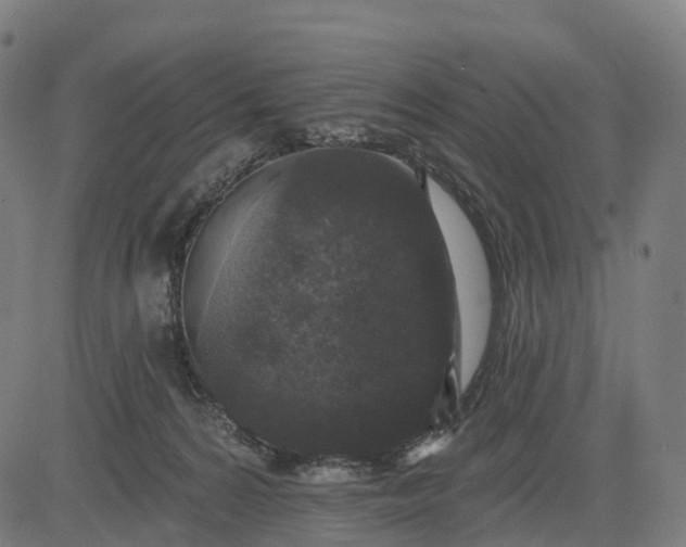 X0000082680224200702091640