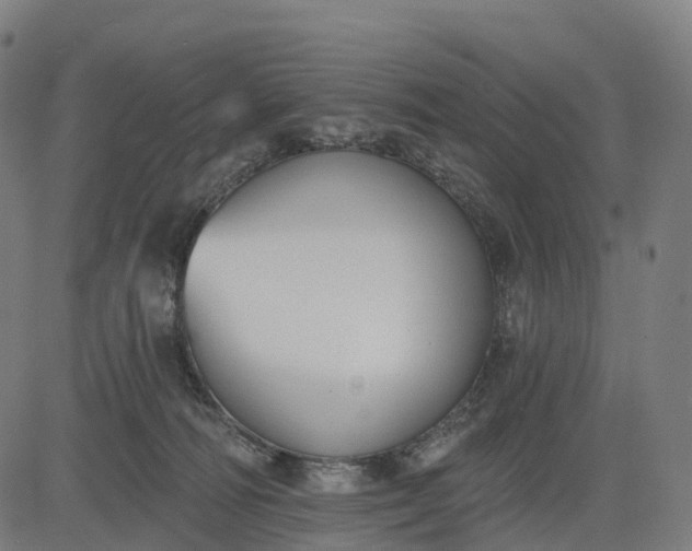 X0000082680226200702091640