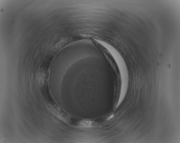 X0000082680227200702091640