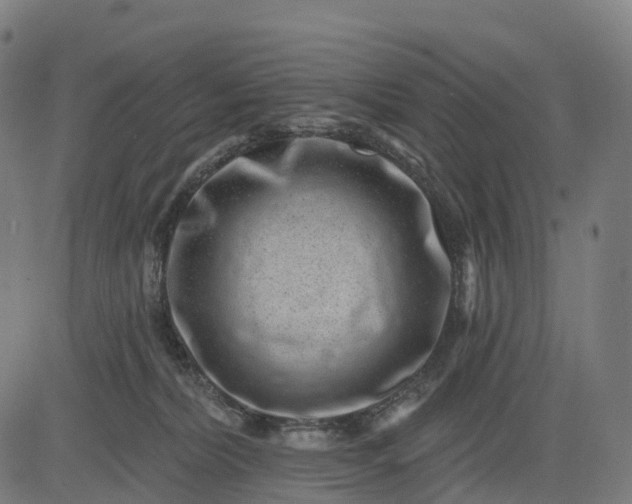 X0000082680228200702091640