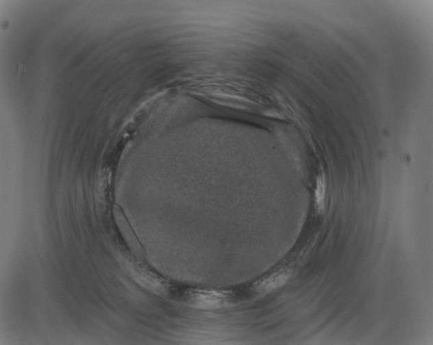 X0000082680229200702091640