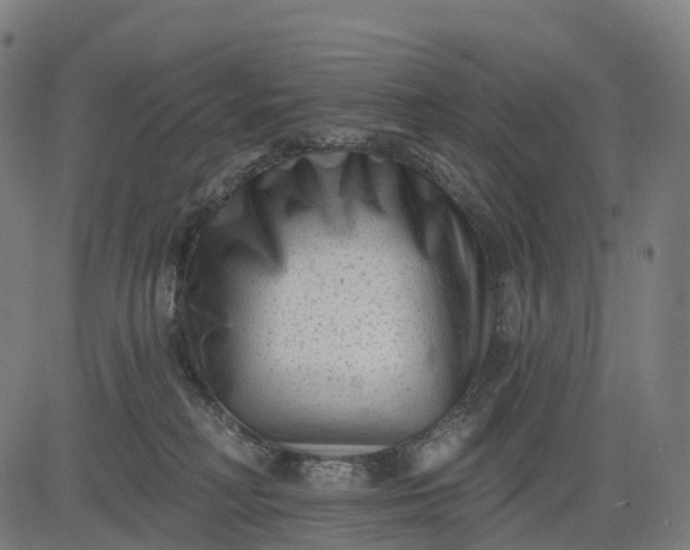 X0000082680230200702091640