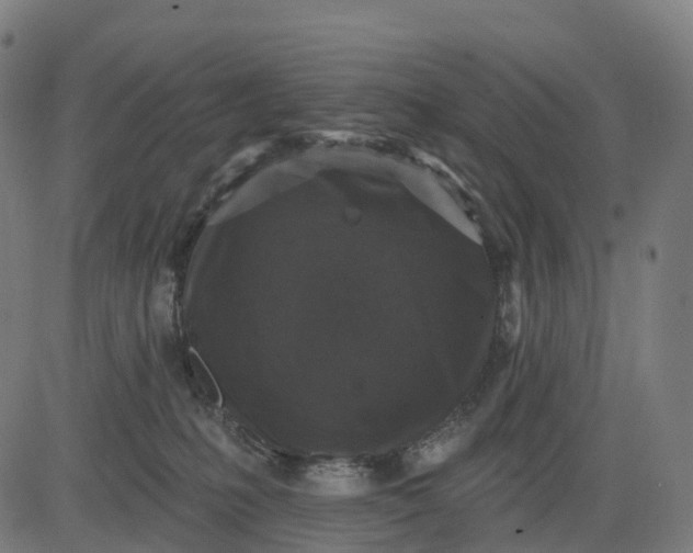 X0000082680231200702091640