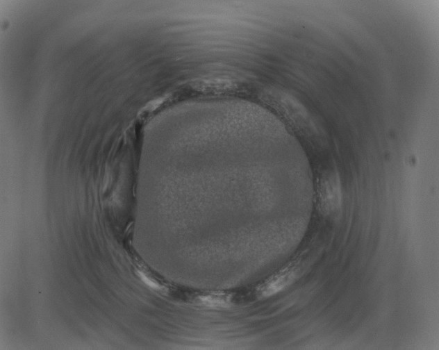 X0000082680232200702091640