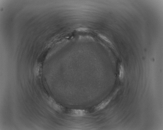 X0000082680233200702091640